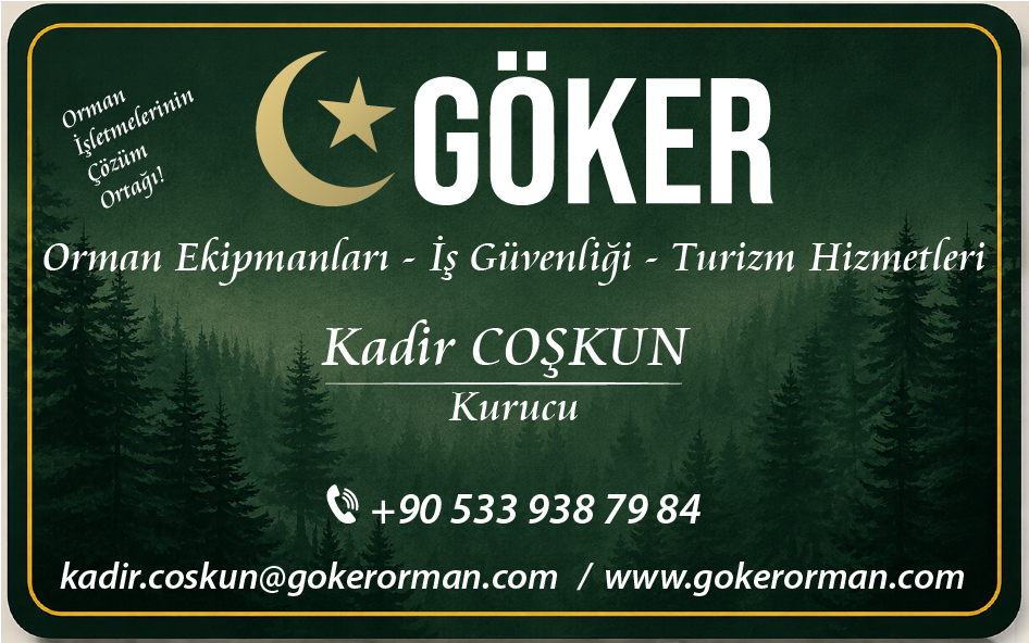 Başlık